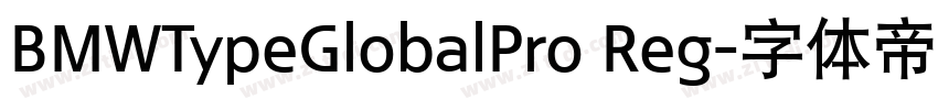 BMWTypeGlobalPro Reg字体转换 BMWTypeGlobalPro Reg字体转换